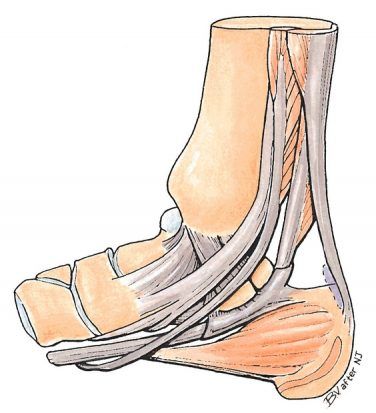 Tarsal Tunnel Syndrome - Hersco Edu Center