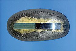 Spring steel sole stiffener